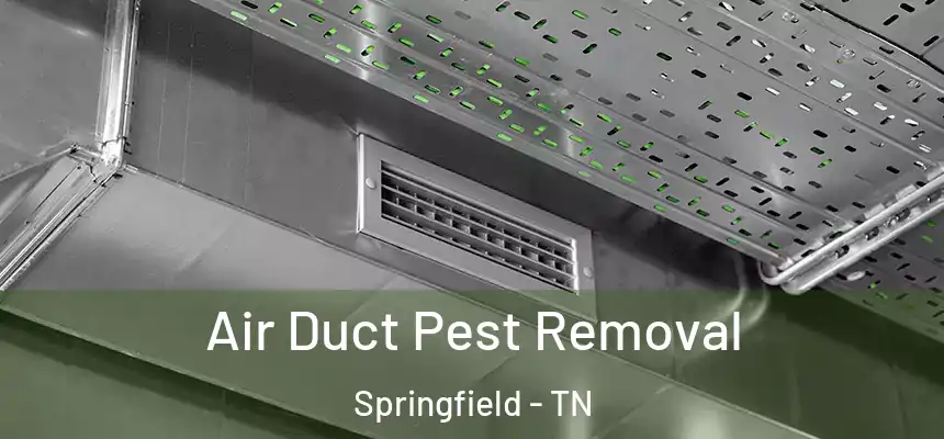 Air Duct Pest Removal Springfield - TN