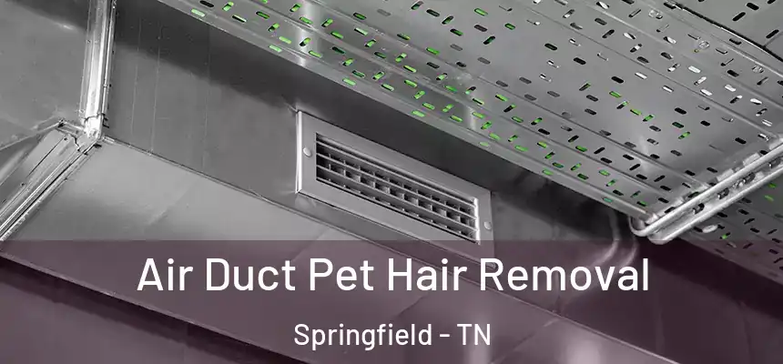 Air Duct Pet Hair Removal Springfield - TN