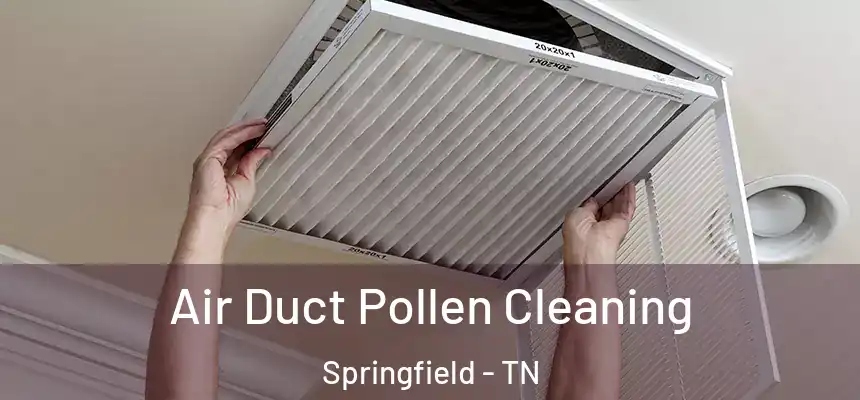  Air Duct Pollen Cleaning Springfield - TN