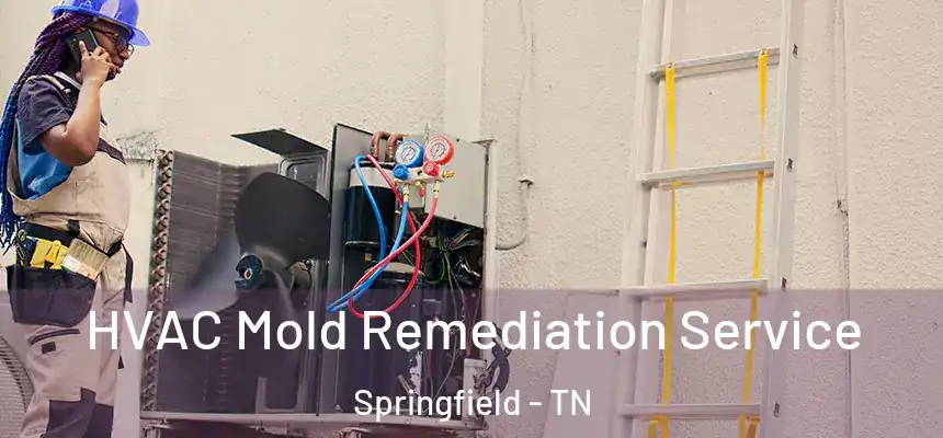  HVAC Mold Remediation Service Springfield - TN
