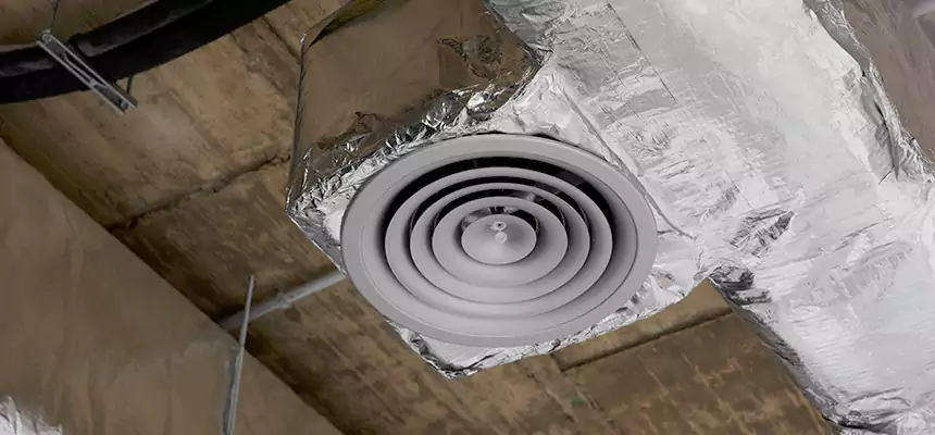 Our Excess Lint Removal from Dryer Ducts Services in Springfield, TN
