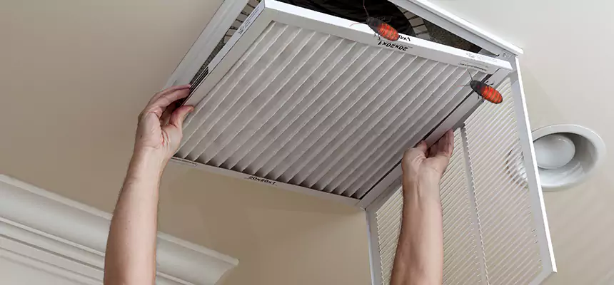 Our Insect Removal from Air Ducts Services in Springfield, TN