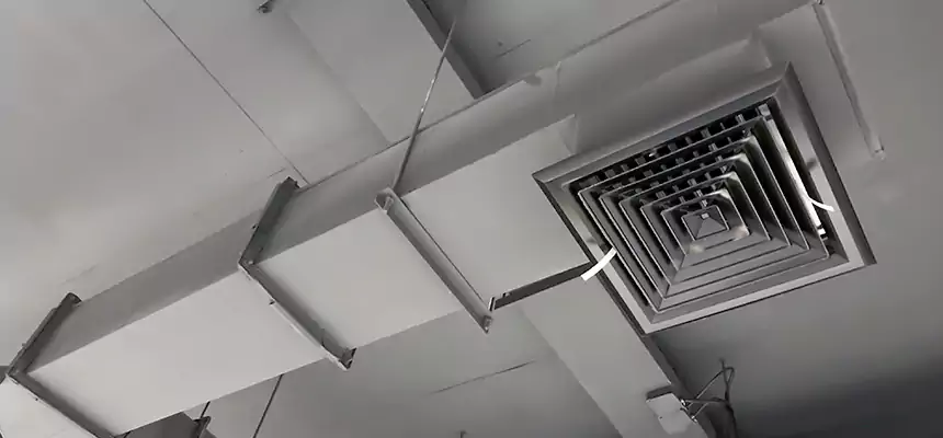 Our Rodent Droppings In Vents Services in Springfield, TN