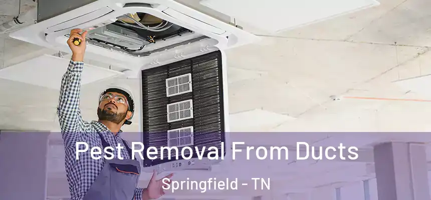  Pest Removal From Ducts Springfield - TN