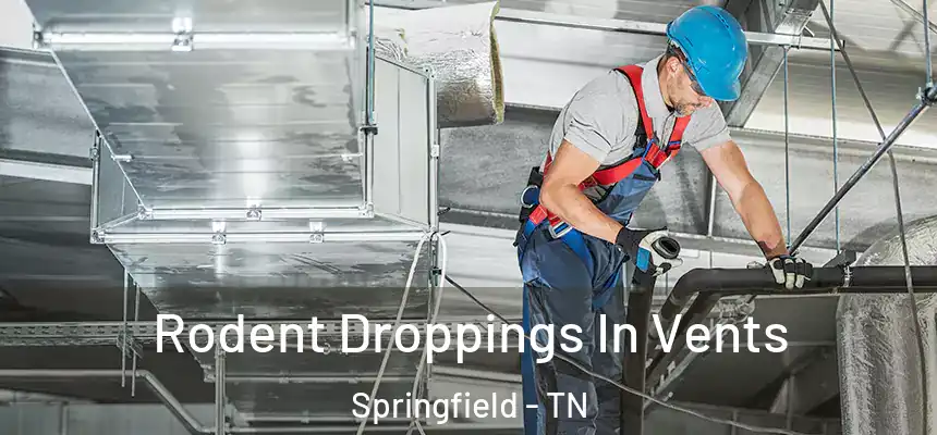 Rodent Droppings In Vents Springfield - TN