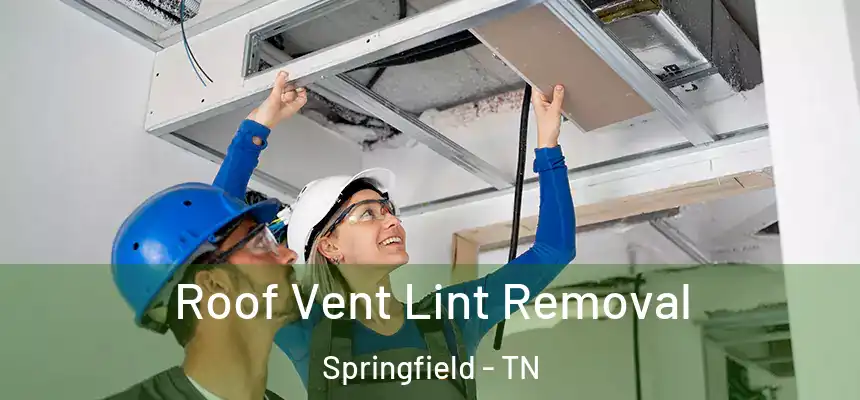 Roof Vent Lint Removal Springfield - TN
