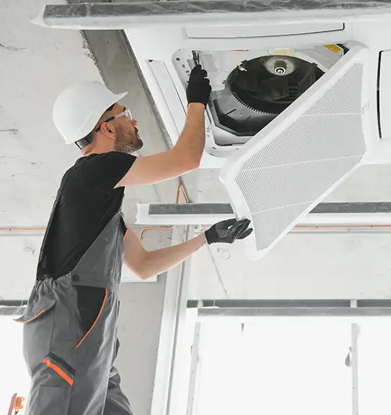 About Air Duct Rodent Removal in Springfield, TN