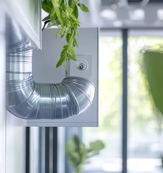 Professional Eco-Friendly Duct Cleaning Services in Springfield, TN