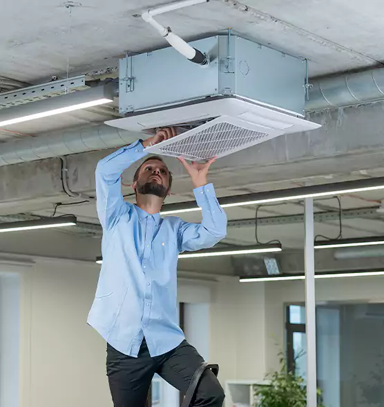Advanced Rodent Droppings In Vents in Springfield, TN