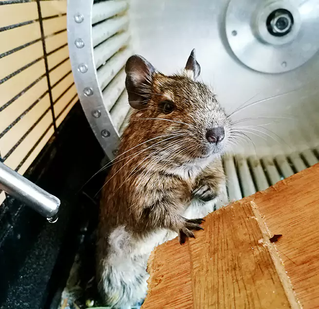 Why Homeowners & Businesses Trust Us Springfield, TN?