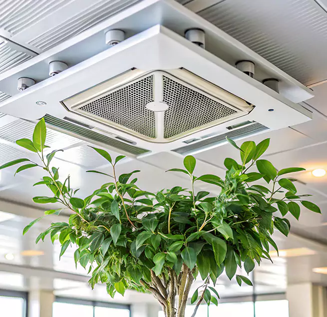 Why Homeowners & Businesses Trust Us in Springfield, TN?