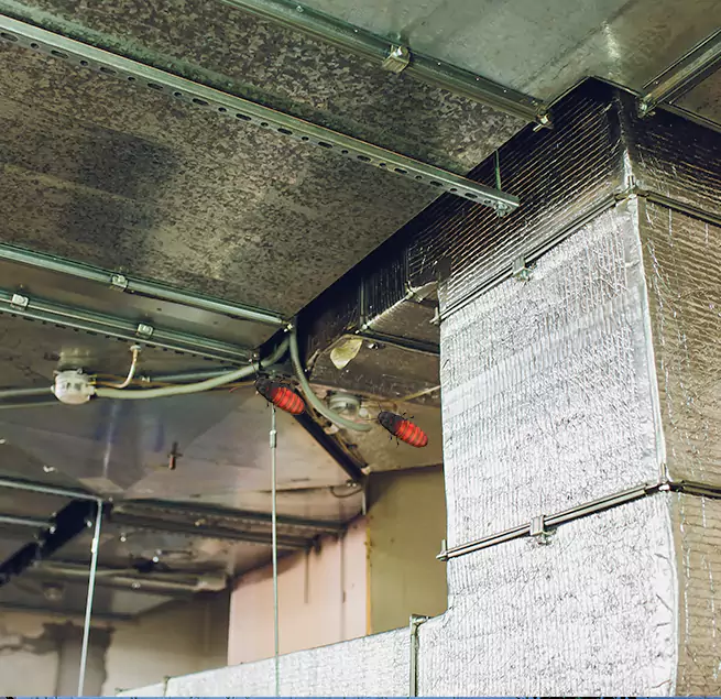 Why Homeowners & Businesses Trust Us Springfield, TN?