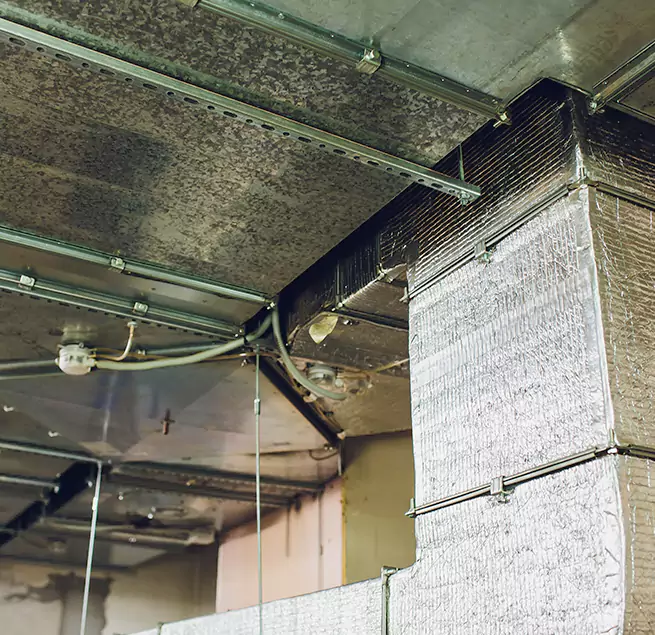 Why Homeowners & Businesses Trust Us in Springfield, TN?