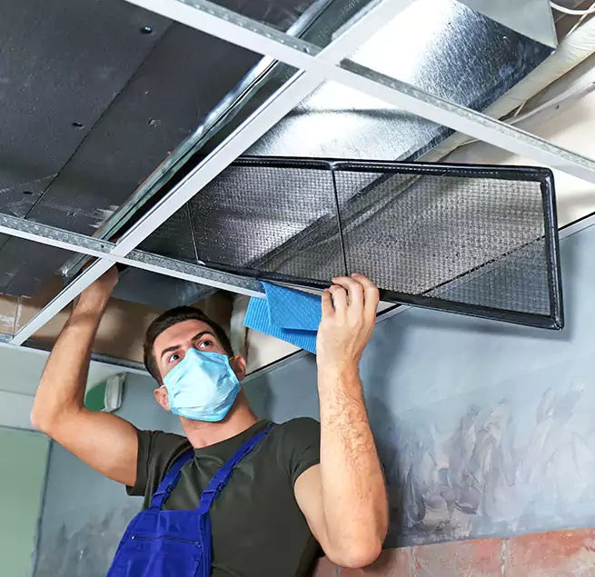 Why Homeowners Businesses Trust Us in Springfield, TN